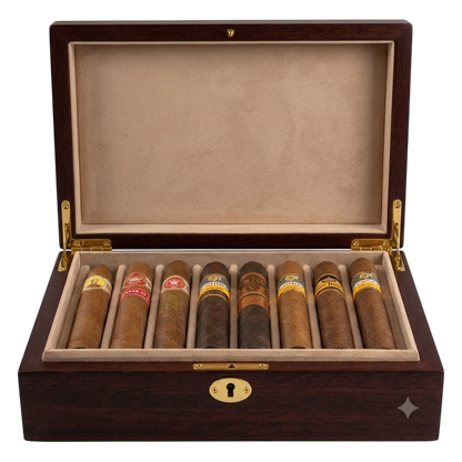 Mixed Discovery Box
