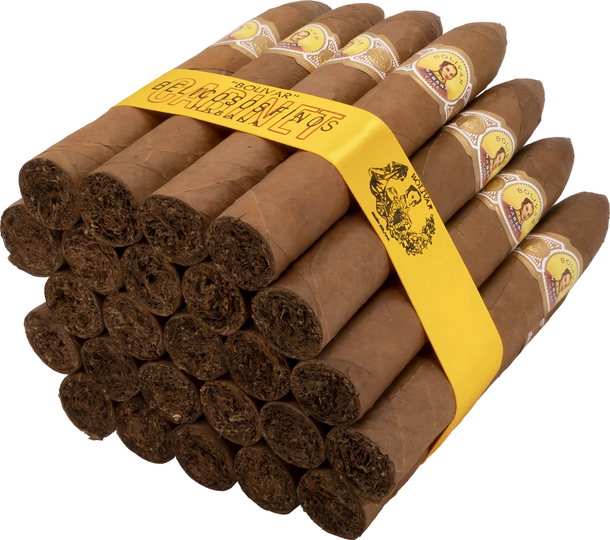 Bolívar Belicosos Finos