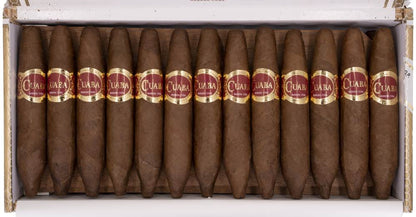 Cuaba Divinos