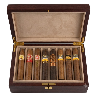 Mixed Discovery Box